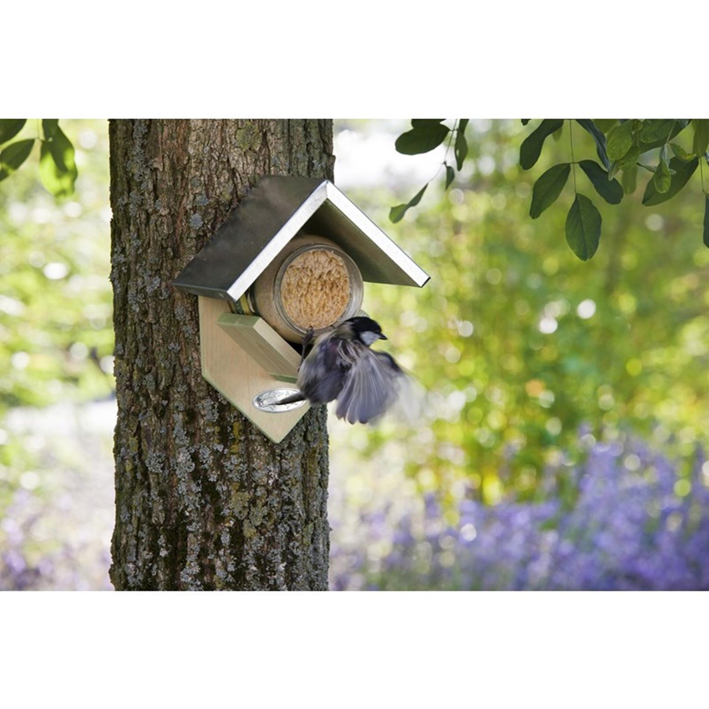 Meglio per uccelli uccelli di burro di arachidi