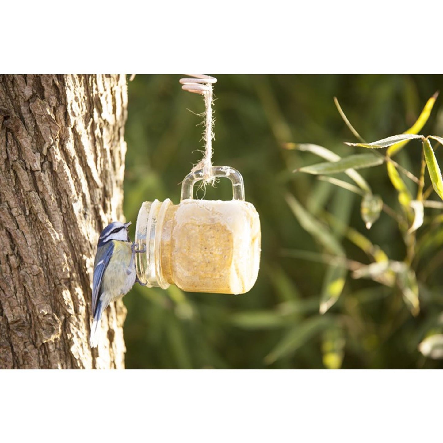 Meglio per il burro di arachidi degli uccelli in tuinmok assorchi