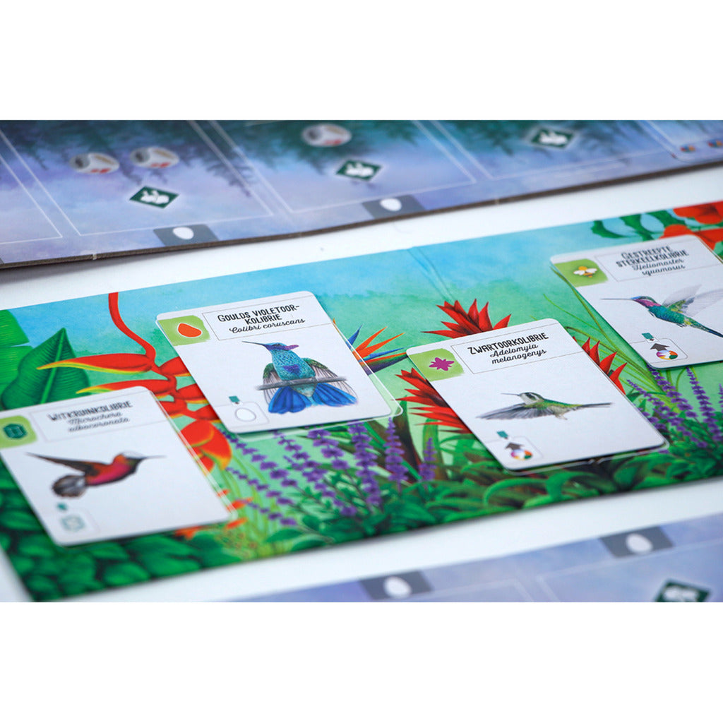999games 999 giochi Wingspan: gioco da tavolo centro e sud america (espansione, olandese, 1 - 5 giocatori, 40 - 70 minuti, da 10 anni)