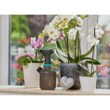 Spray de planta de Gardena 1 L - afbeelding 3
