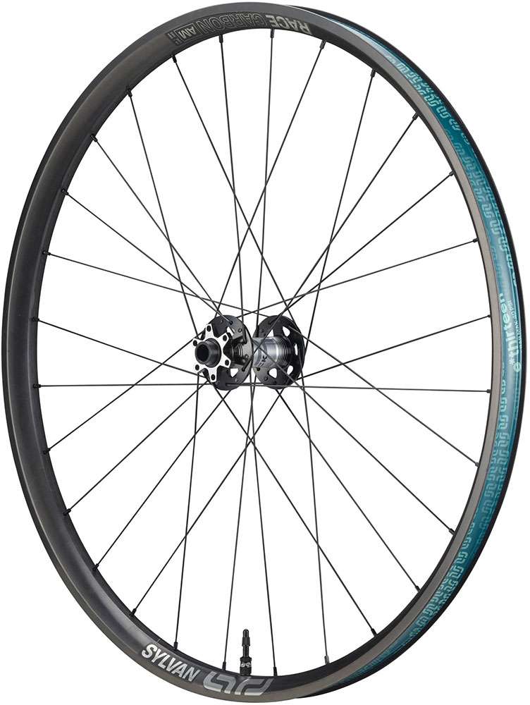 Rueda delantera E*thirteen sylvan sidekick race all mountain carbon 29