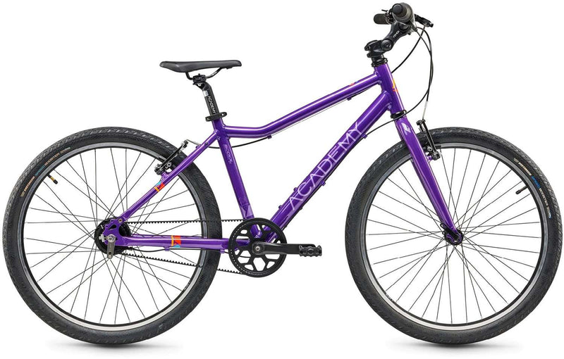 Bicicleta infantil con cinturón Academy grado 5.