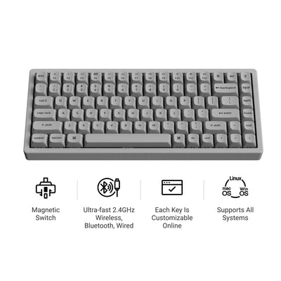 Tastiera meccanica Keychron K2 HE-F1C Concrete Edition RGB (nera, layout USA (QWERTY), nebulosa magnetica a doppia guida Gateron, 75%, LED RGB, osa double-shot PBT, hot swap, 2,4 GHz | Bluetooth 5.2 | USB-C)