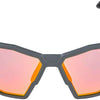 Alpina twist six qv - gafas deportivas