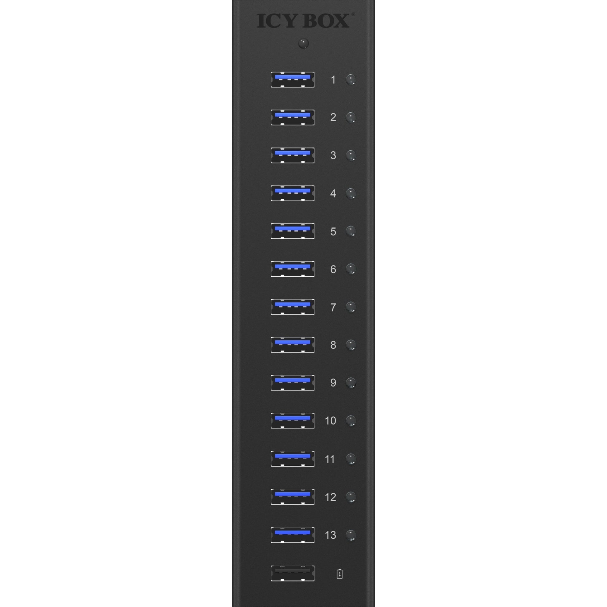 Caja helada IB-AC6113