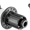 Dt swiss 350 classic mtb cl 12x142mm rear hub