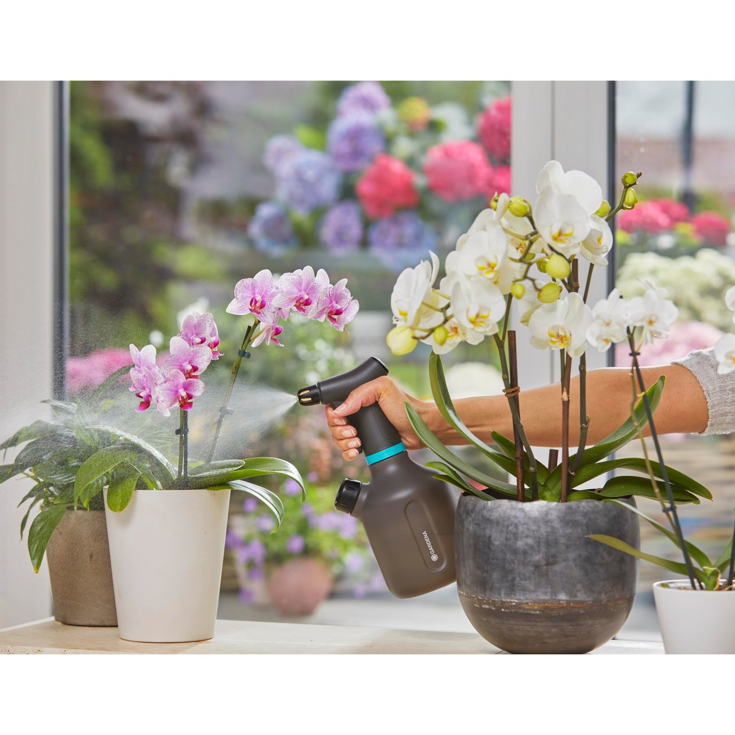 Spray de planta de Gardena 1 L Easypump