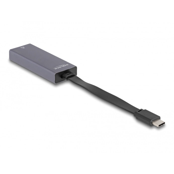 DELOCK USB-C> 2,5 gigabit Lan Slim