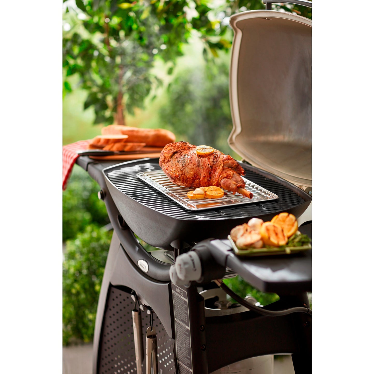 Weber Grill Rooster 200 2000 300 3000 series