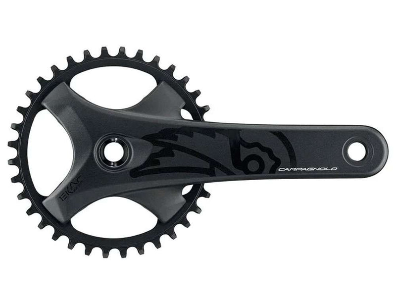 Campagnolo ekar gt protech 13-speed crankset