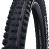 Schwalbe vouwband tacky chan evolution 62-622 tle zwart