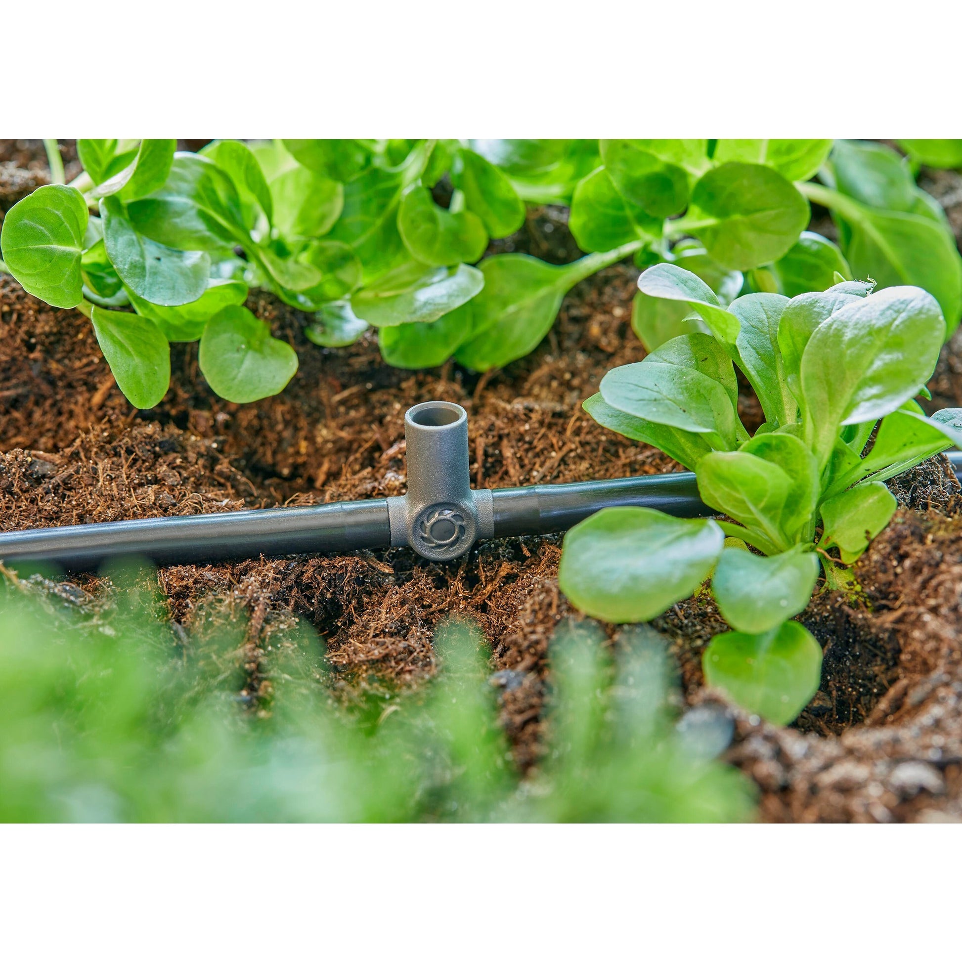 Gardena T-pie para pulverizadores finales Druppelaars 4.6 mm (3 16