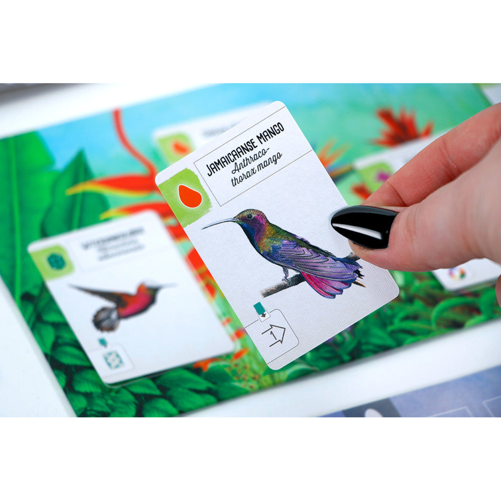 999games 999 giochi Wingspan: gioco da tavolo centro e sud america (espansione, olandese, 1 - 5 giocatori, 40 - 70 minuti, da 10 anni)