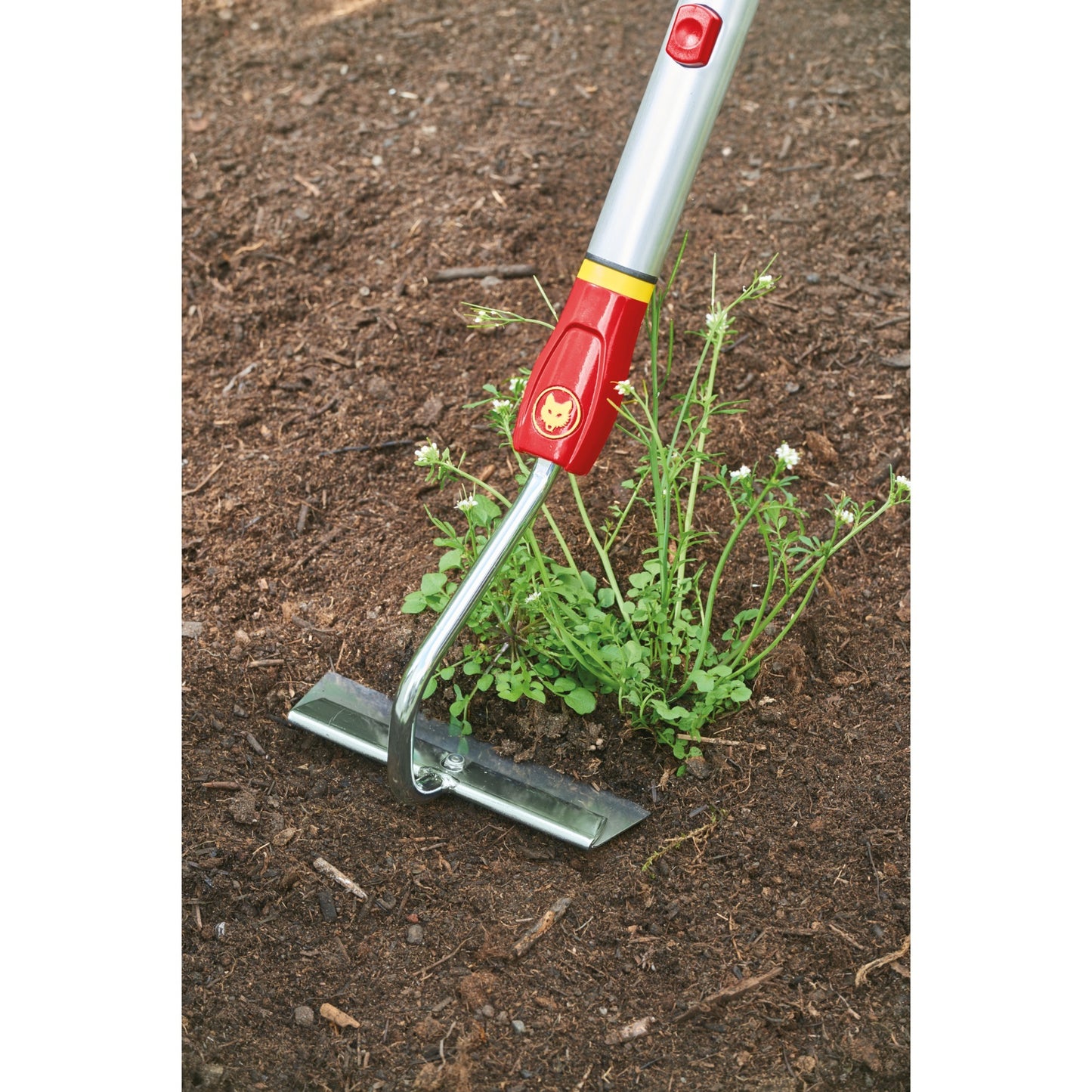 Hu-M15 Hak multi-estrella de Wolf-Garten