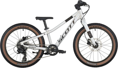 escala scott 200