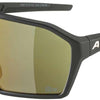 Alpina ram q-lite - gafas deportivas