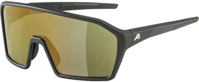 Alpina ram q-lite - gafas deportivas