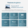 Laptop Asus ZenBook 14 OLED UX3405ca-QD012W 14 (Blu | Core Ultra 7 255h | Arc 140t | 32 GB | SSD da 1 TB)