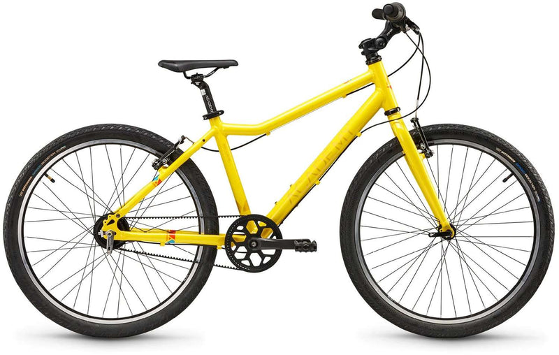 Bicicleta infantil con cinturón Academy grado 5.