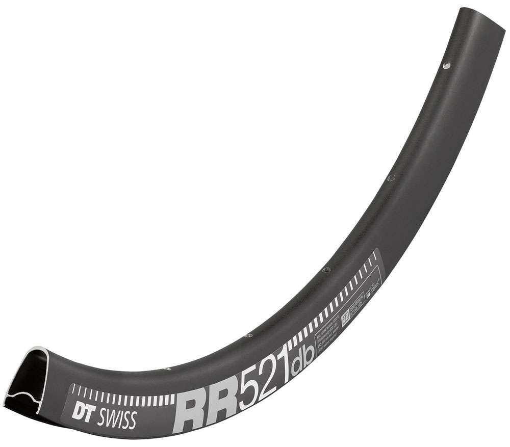 Cerchio DT Swiss RR 521 28 disco