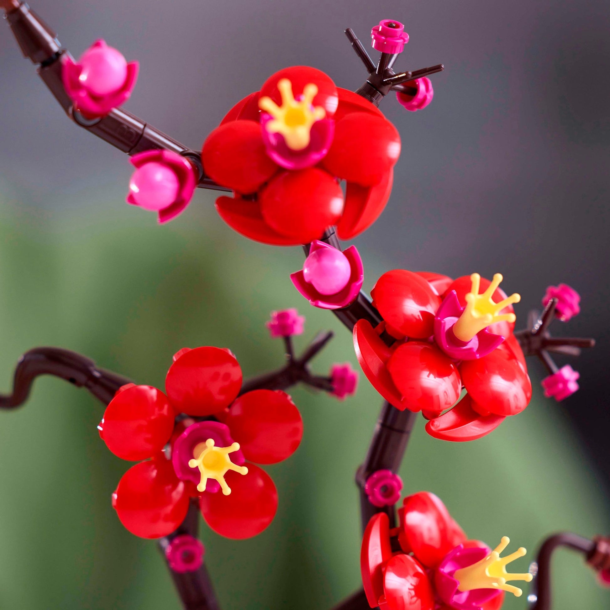 LEGO LEGO Botanicals 10369 Japanese apricot