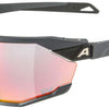 Alpina twist six qv - gafas deportivas