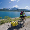 Rimorchio per bicicletta Bob ibex oro con borsa