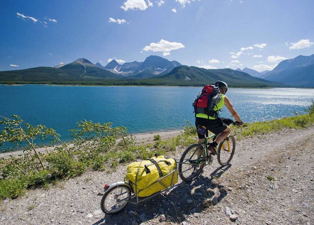 Rimorchio per bicicletta Bob ibex oro con borsa