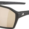 Alpina ram q-lite v - gafas deportivas
