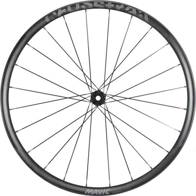 Set di ruote Mavic Crosstrail SL 29 Carbon Disc a 6 bulloni SRAM XD