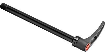 Dt swiss rws mtb perno passante boost 12x148mm rw