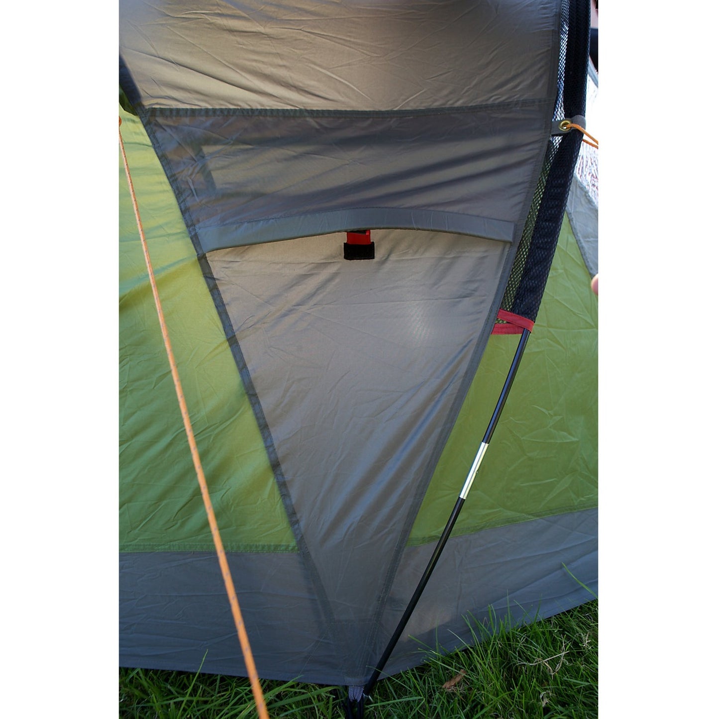Tienda de Coleman Darwin 3+