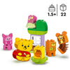 LEGO DUPLO 10457 La festa di compleanno di Winnie de Pooh