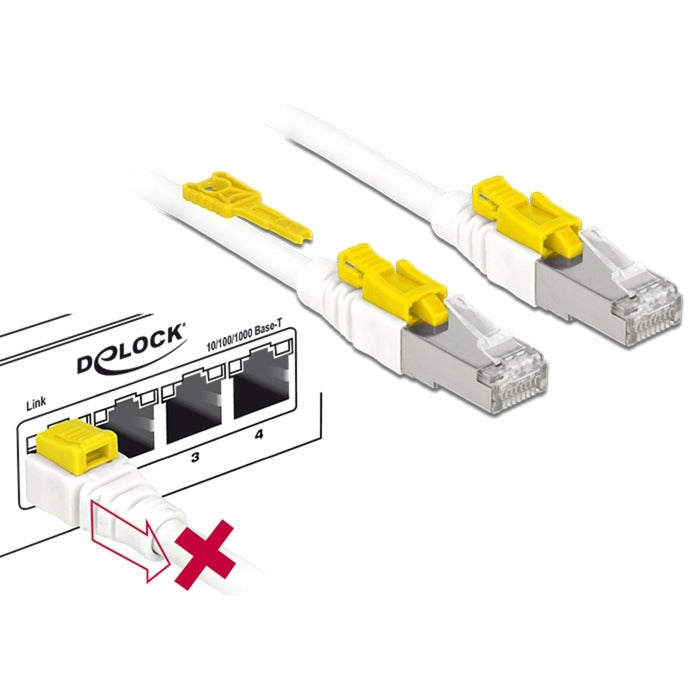 Delock Patch Cable RJ-45 seguro con Cat.6a