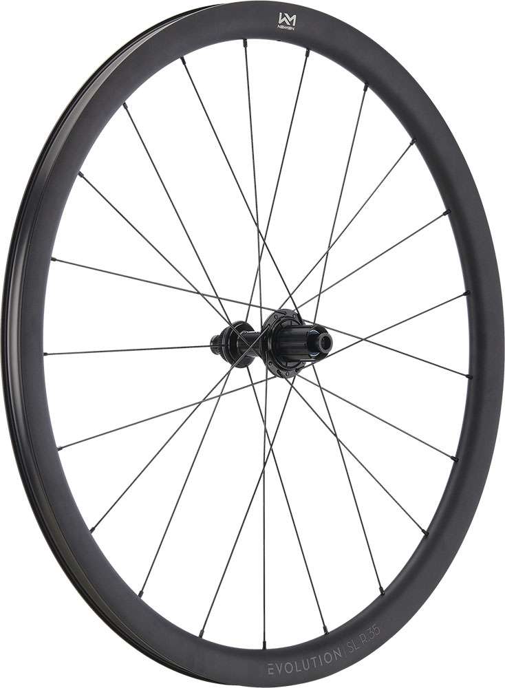 Rueda trasera Newmen Evolution SL R.35 Fade R SJ CL 12x142