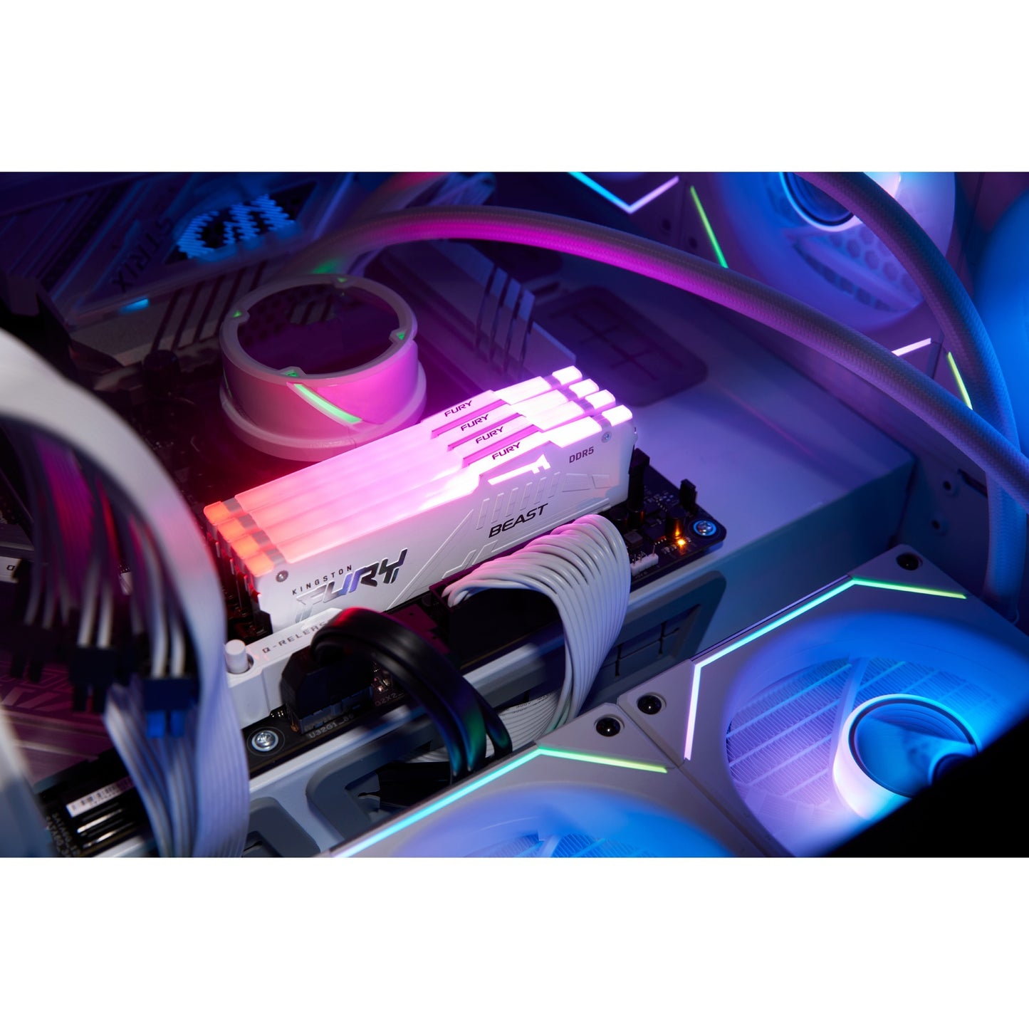 Kingston fury 16 gb ddr5-5600 werkgeheugen (wit, kf556c40bwa-16, beast rgb, xmp)