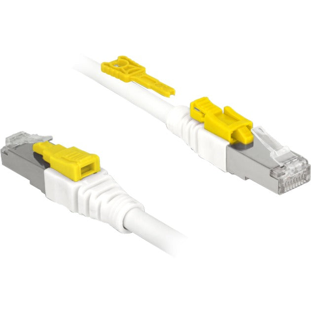 Delock Patch Cable RJ-45 seguro con Cat.6a