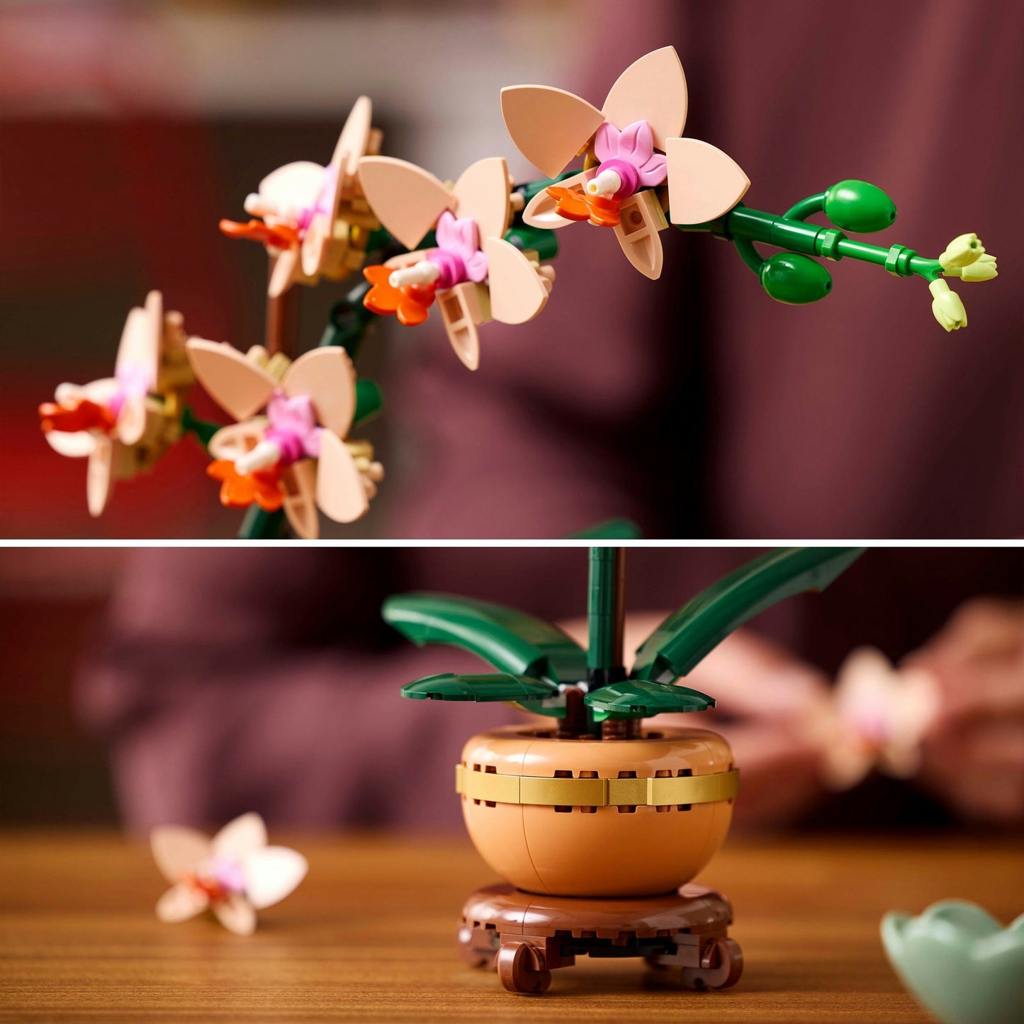 LEGO LEGO BOTANICI 10343 MINIORCHID