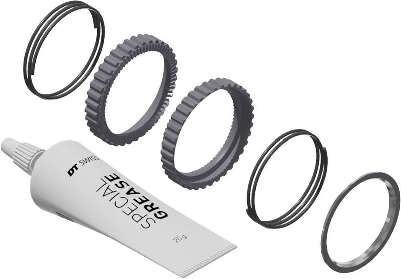 Dt swiss ratchet deg 72t service kit
