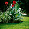 Gardena gazon bordi (verde)