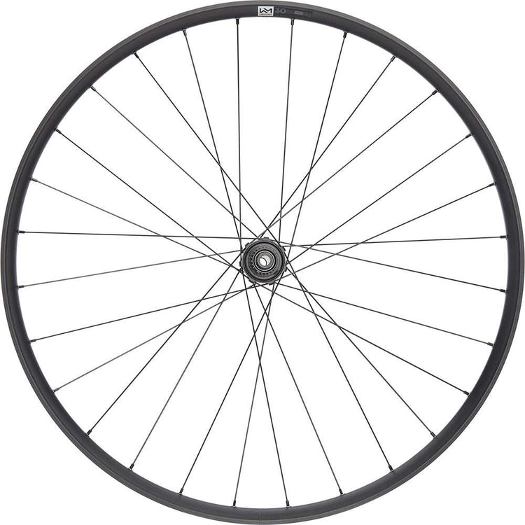 Ruota posteriore Newmen Performance 30 base 29 a 6 bulloni 12x148