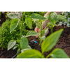 Gardena seriedruppelaar 2 l u druppelaar (zwart turquoise, 10 stuks)