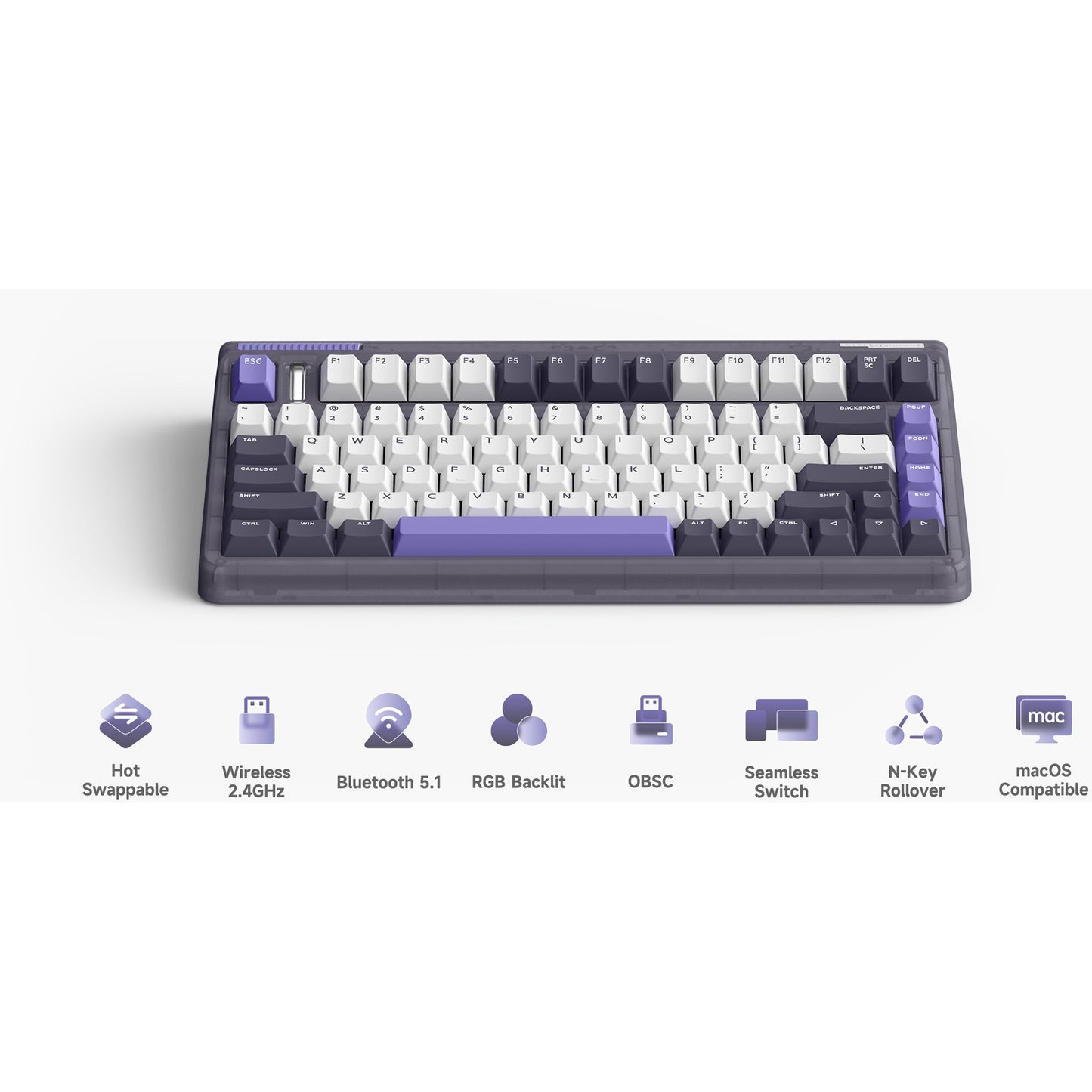 Tastiera meccanica wireless iqunix og80