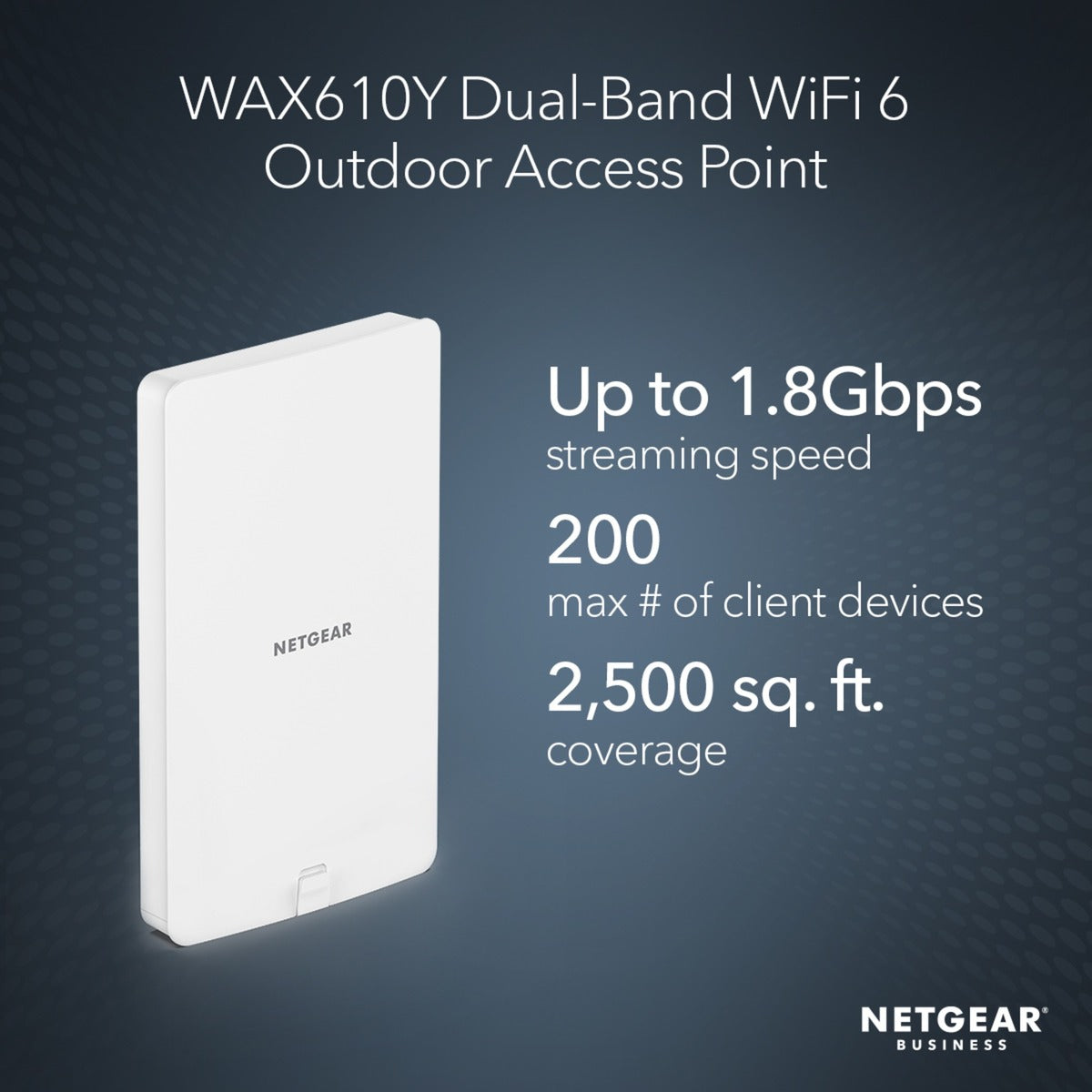 Netgear wax610y access point (wit)