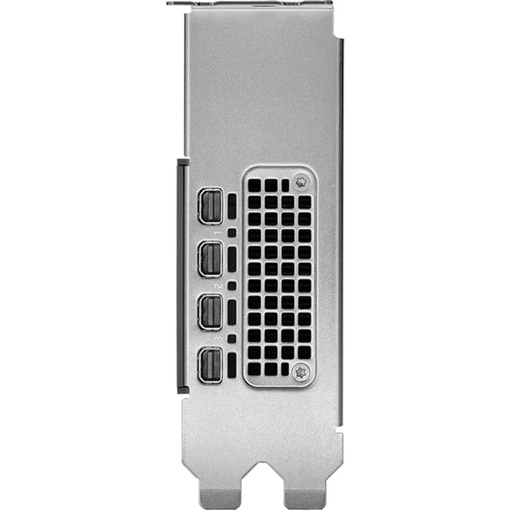 Scheda grafica Nvidia® RTX 2000 ADA 16 GB (4x mini display port, bulk)