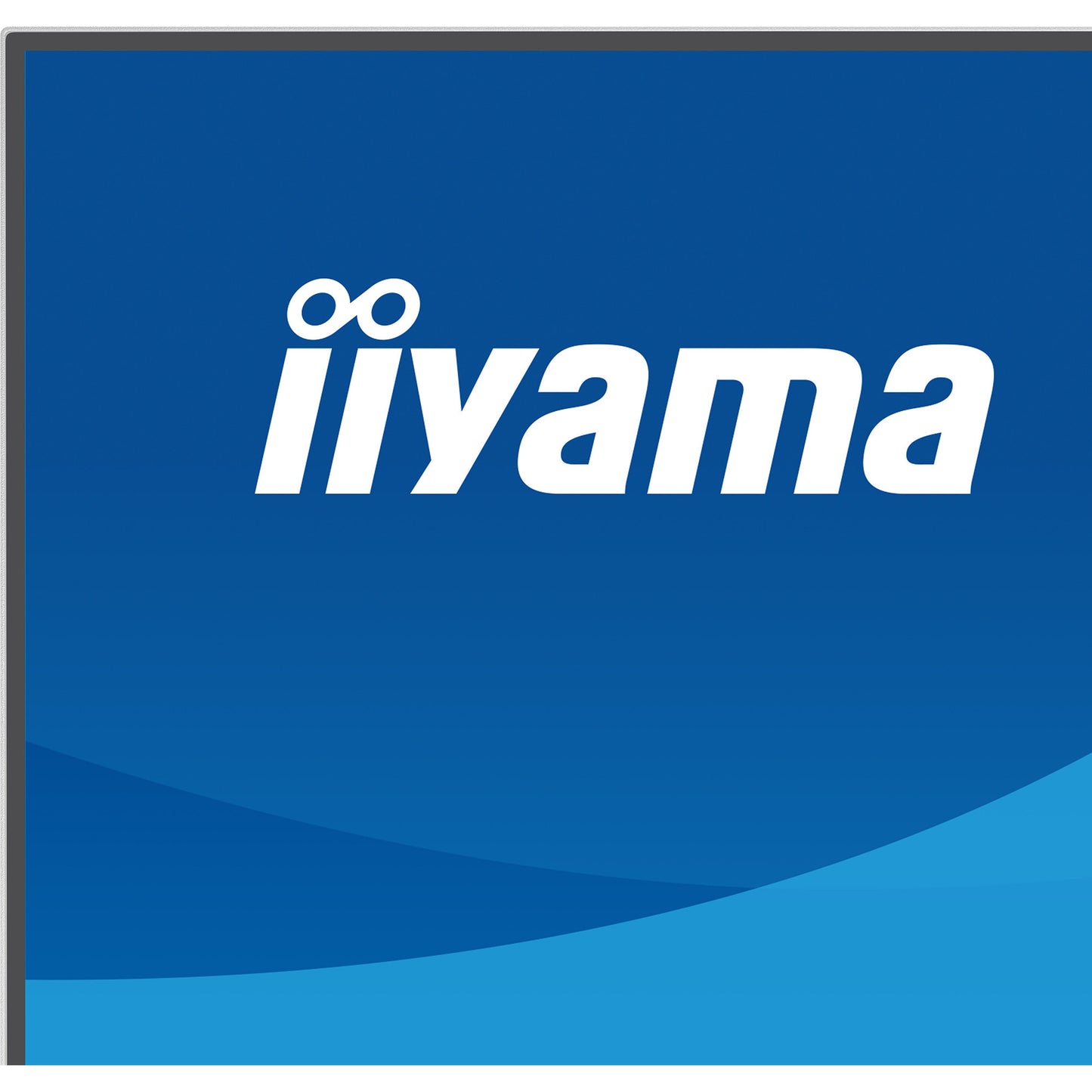 Monitor Iiyama prolite xb2797qsu-w1 27 (bianco (opaco), HDMI, porta display, USB, audio)