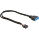 Delock usb 2.0 interne header naar usb 3.2 interne header adapter (zwart, 30 centimeter)