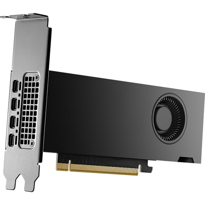 Scheda grafica Nvidia® RTX 2000 ADA 16 GB (4x mini display port, bulk)