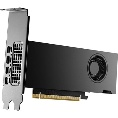 Scheda grafica Nvidia® RTX 2000 ADA 16 GB (4 porte mini display)