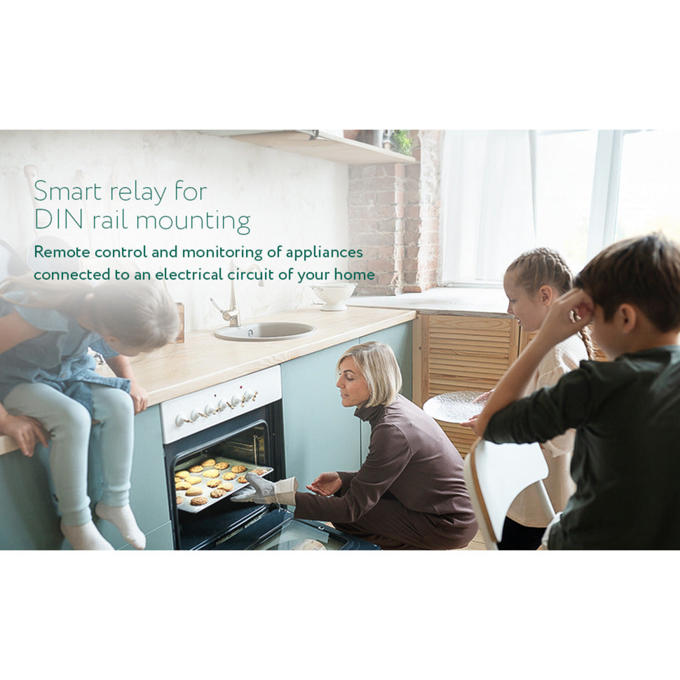 Relé din inteligente Frient (gris claro, zigbee)